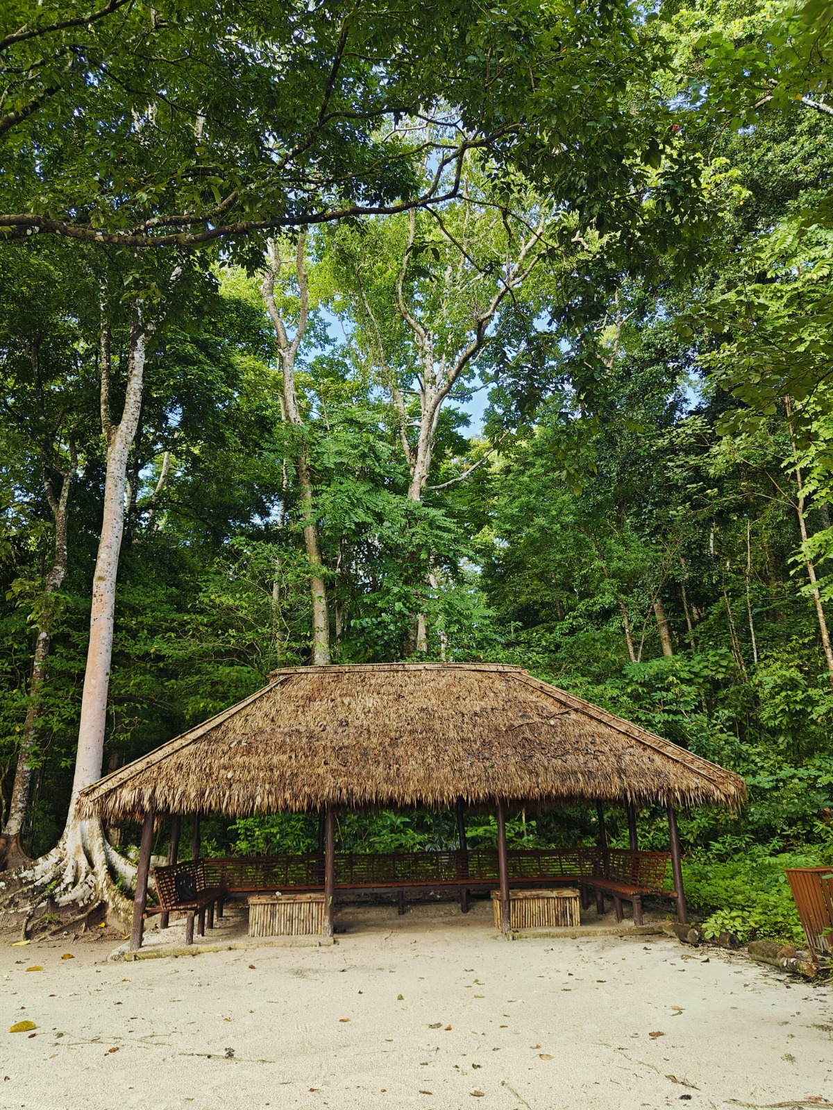 Romantic Couple Shoot