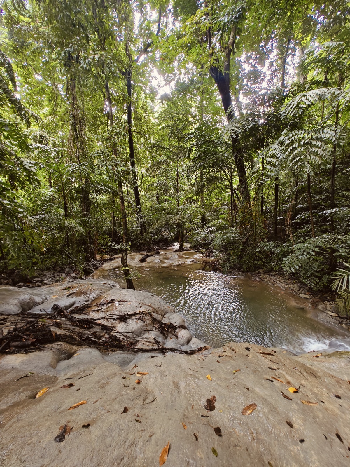 Romantic Couple Shoot